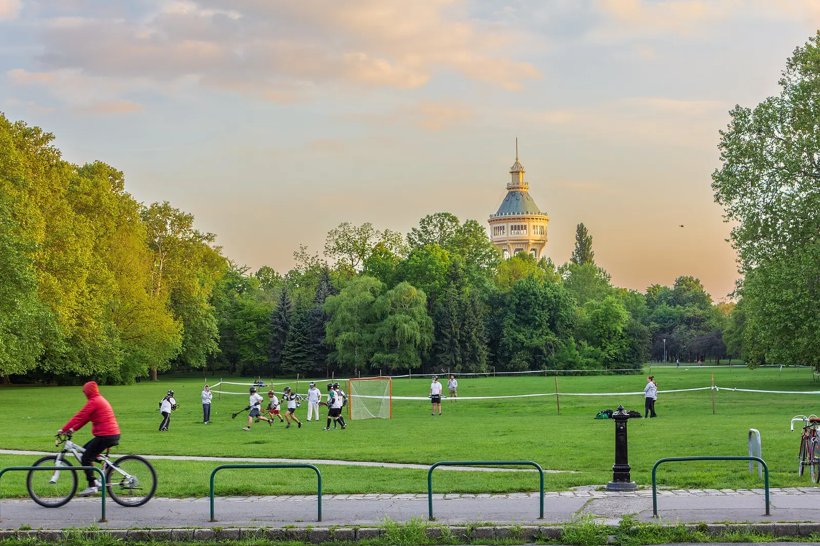 Alberi e sentieri sull’Isola Margherita, nel Danubio.