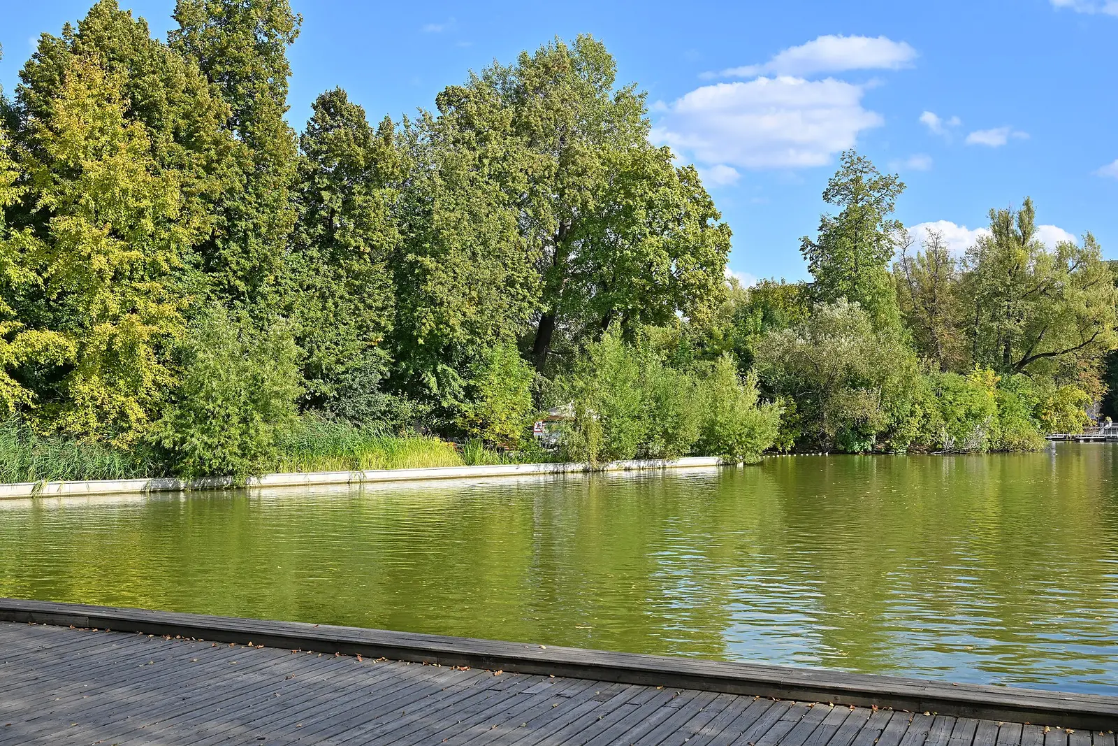 Specchio d’acqua e alberi del Parco Gorkij.